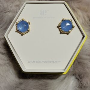 Stunning Gold and Blue Hexagon Earrings